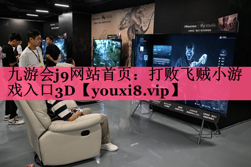 打败飞贼小游戏入口3D