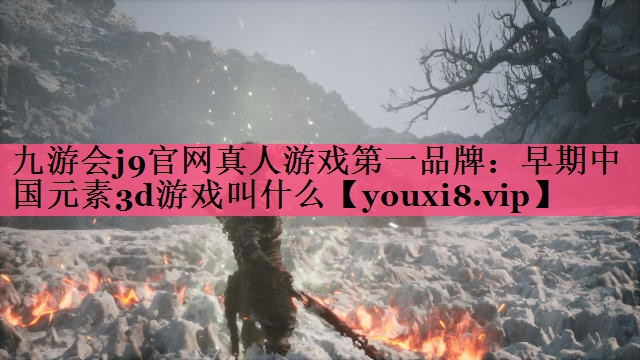 早期中国元素3d游戏叫什么